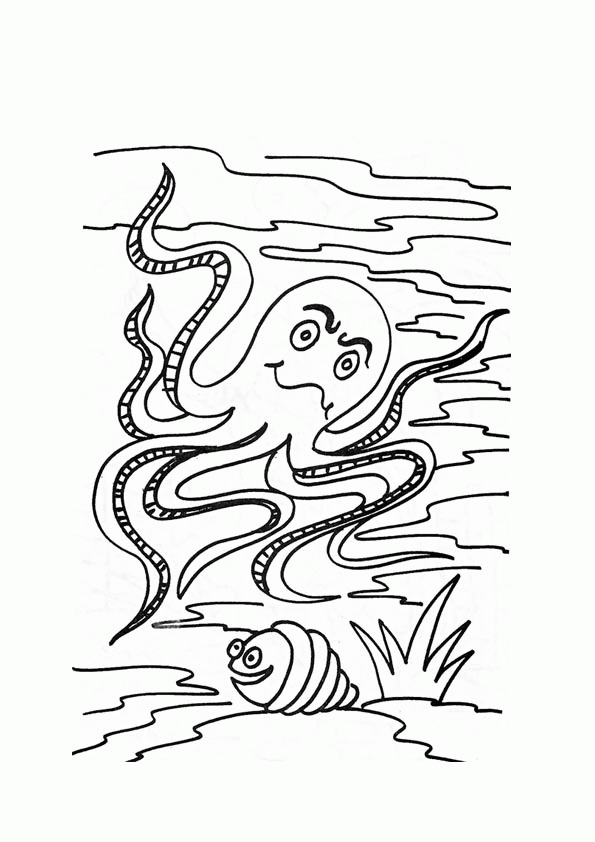 Kolorowanka Ośmiornica w Morzu - Pobierz i Drukuj kolorowanka do druku